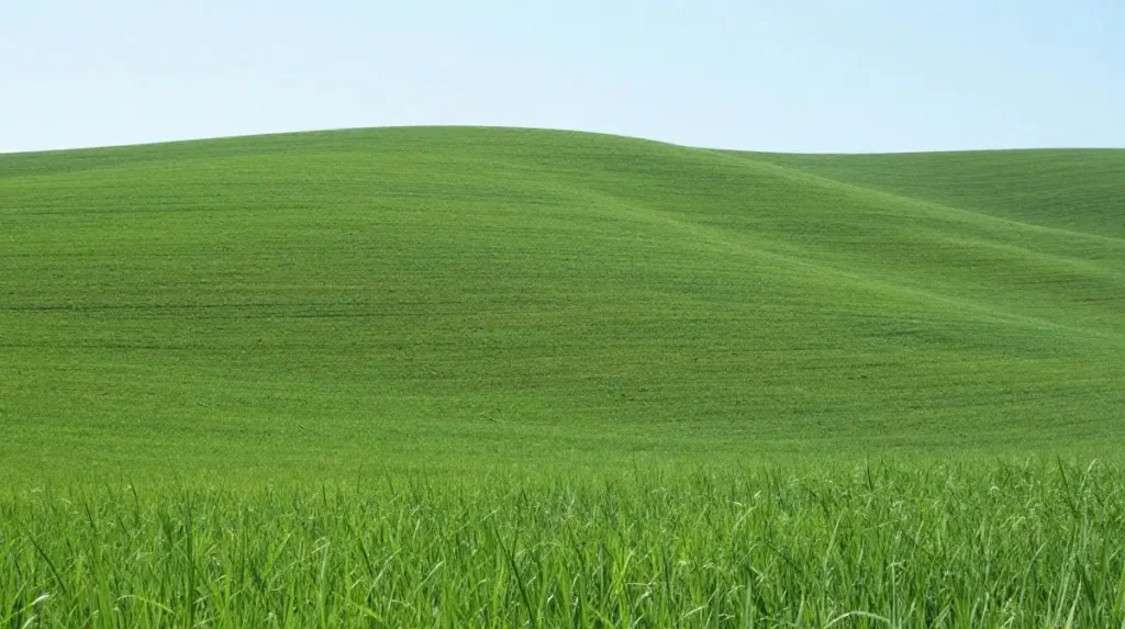 Country Instagram Captions